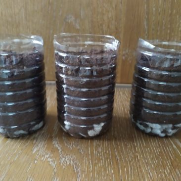 Recouvrir les cailloux d’une couche de terre (8 à 10 cm c’est le support et la nourriture du semis).