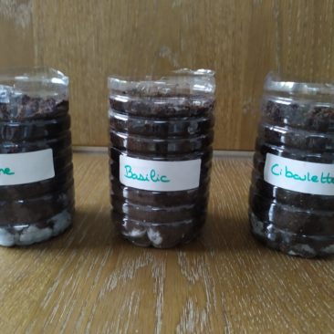 Inscrire le nom des graines sur des étiquettes, puis coller chaque étiquette sur le pot correspondant.