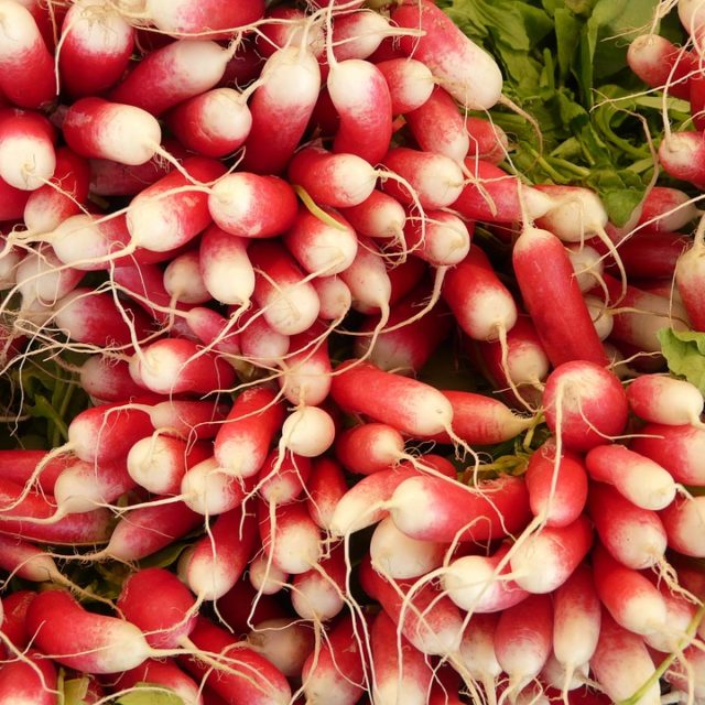 Soupe de fanes de radis