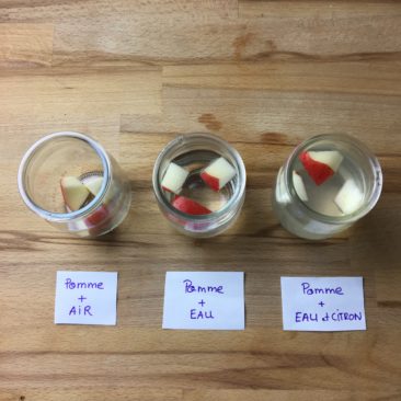 Placer les papier annotés à côté de chaque pot correspondant