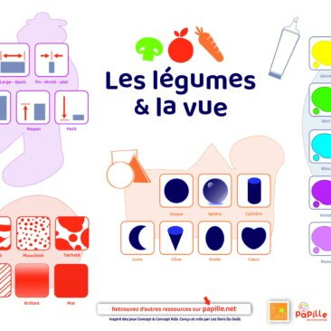 Faire deviner des légumes grâce à des indices visuels. En binôme ou en groupe, ce jeu permet d’être attentif à toutes les informations que nous donne le sens de la vue.