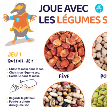 jeu des légumes secs