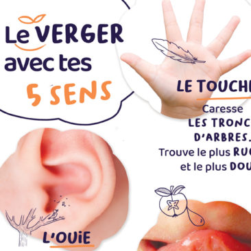 le verger avec tes 5 sens